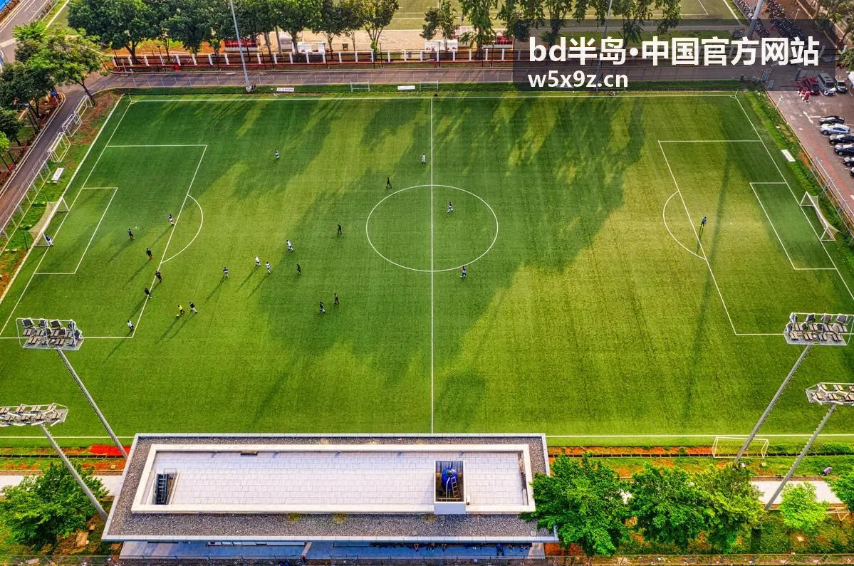 bd半岛·中国官方网站行业观察与政策解读示意